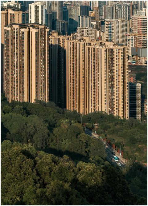 Aerial view of tall skyscrapers adjacent to a lush