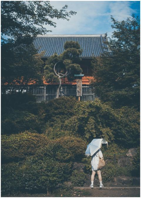 A woman with an umbrella stands in Ueno Park, Toky