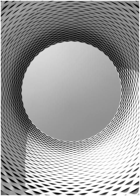 Grayscale architectural detail showcasing modern d