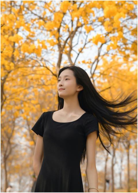 A serene walk through a park with vibrant yellow-l