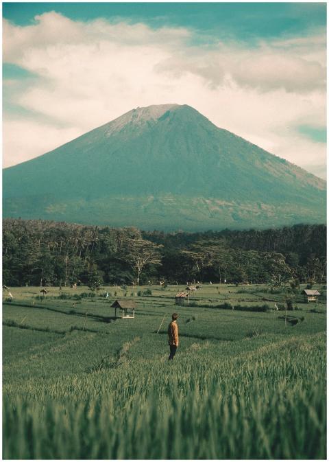 Tranquil scene of a mountain and lush fields with