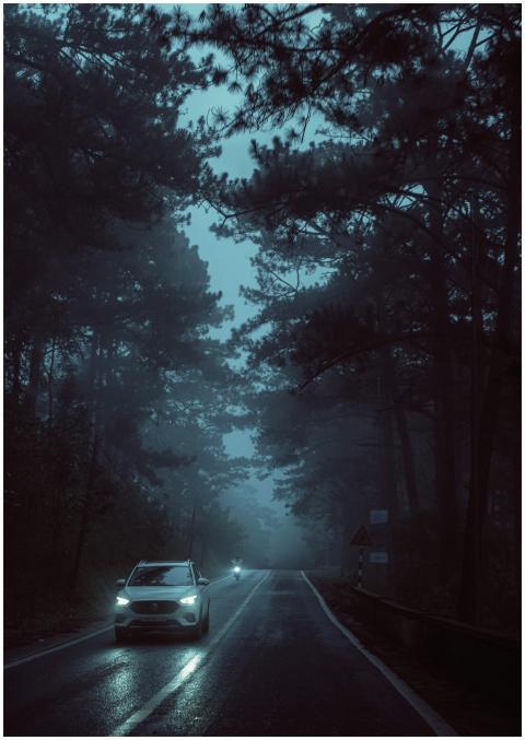 Cars driving on a misty forest road at twilight, c