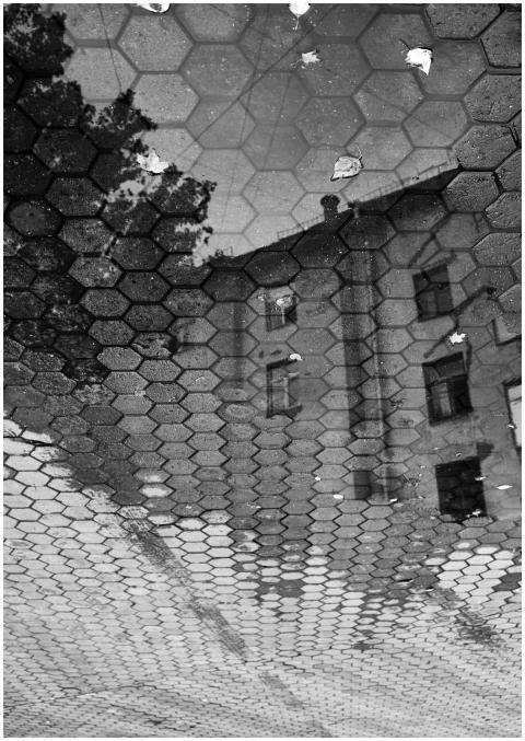 Reflection of historic building in a wet pavement