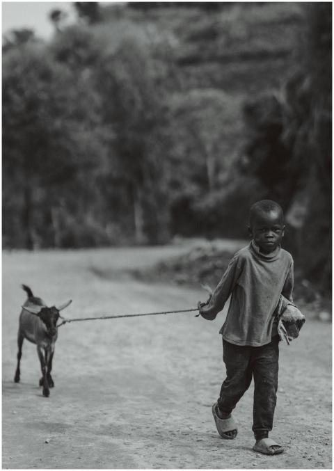 A child walks a goat along a dirt road in a serene