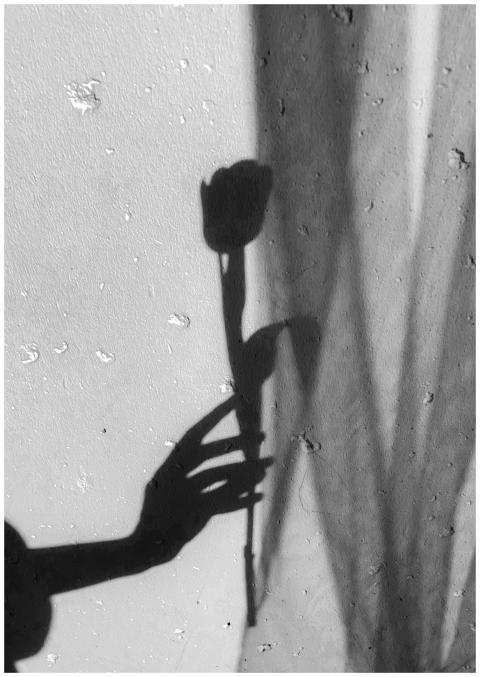 A black and white photo of a hand shadow holding a