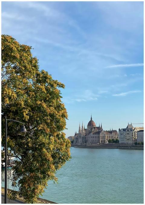 View of Hungarian Parliament Building and Danube R