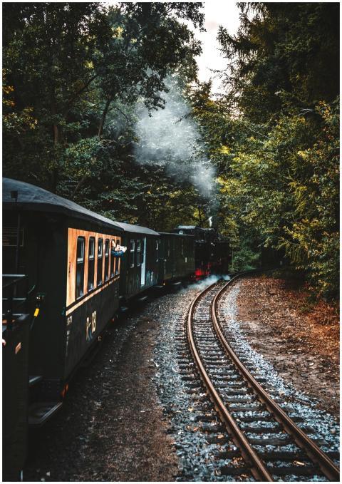 A vintage train travels through a lush forested la