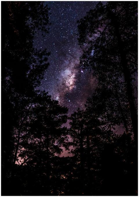 Breathtaking view of a star-filled night sky with