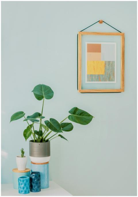 A minimalist interior with a Monstera plant, frame