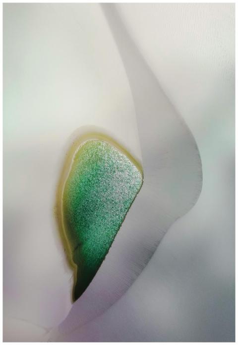 Intriguing abstract image with green and white sha