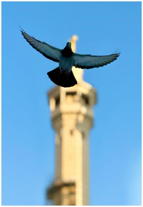 Not every flight needs wings… sometimes, it just n