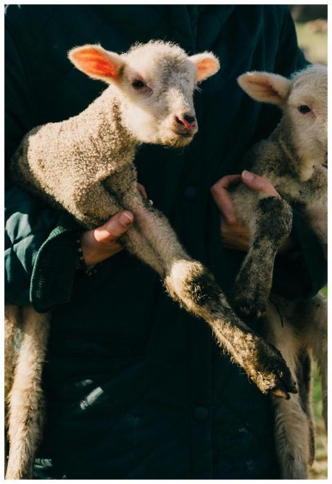 Crop anonymous farmer in black clothes carrying cu