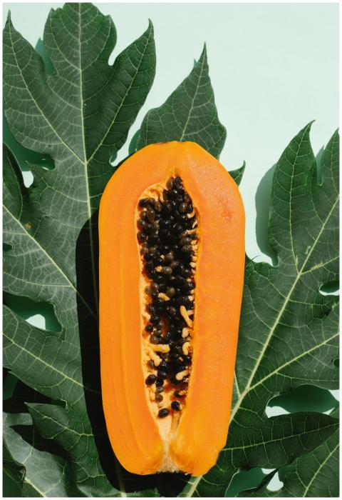 Top view of slice of colorful fresh papaya fruit p