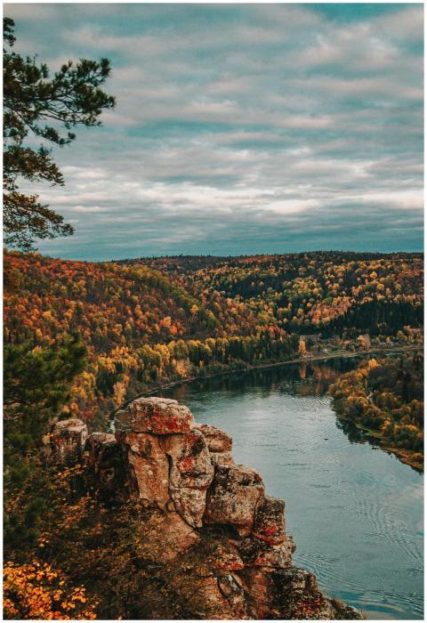 A breathtaking autumn aerial view of a colorful fo