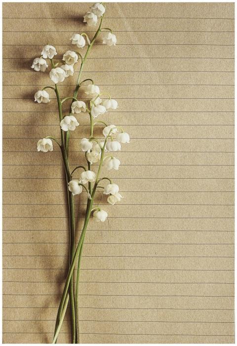 Delicate lily of the valley flowers arranged on te