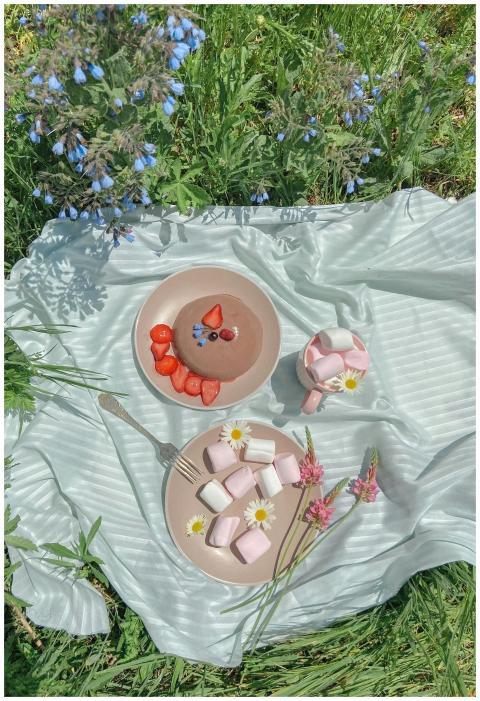 Top view composition in lawn of plates with marshm