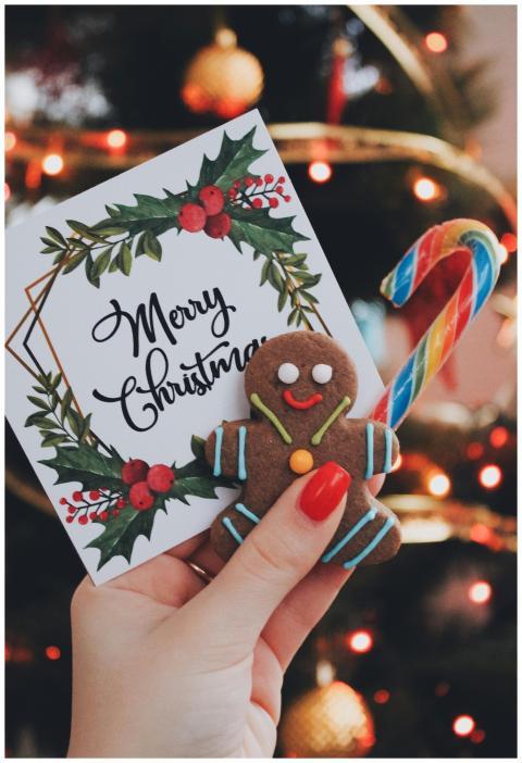 Close-up of a hand holding a gingerbread man, cand