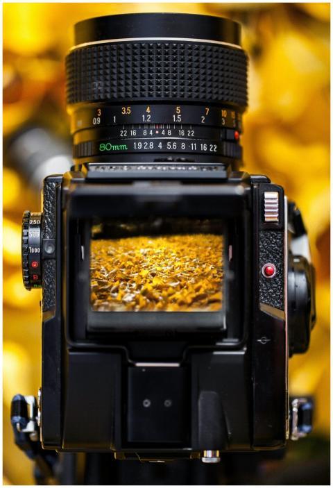 Vintage camera viewfinder capturing a close-up of