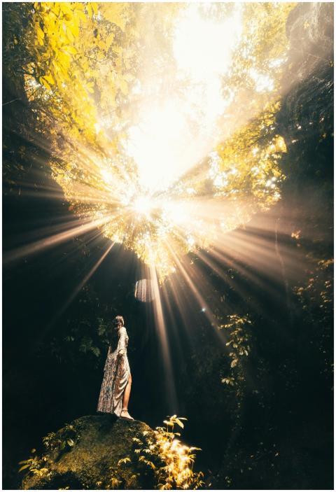 A woman stands on a rock in a sunlit tropical fore