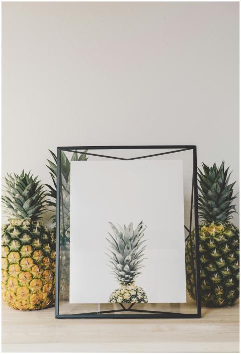 Artistic framed pineapple illustration with fresh