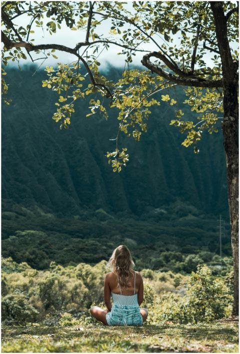 A woman sits in meditation under a tree, overlooki