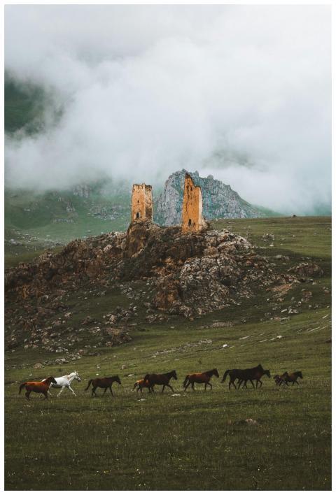 Majestic scene of horses grazing near historical A