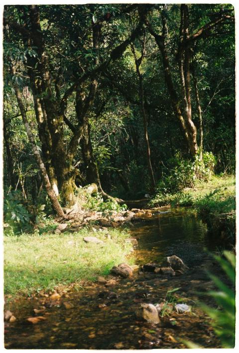 Free stock photo of 35mm camera, analog, film