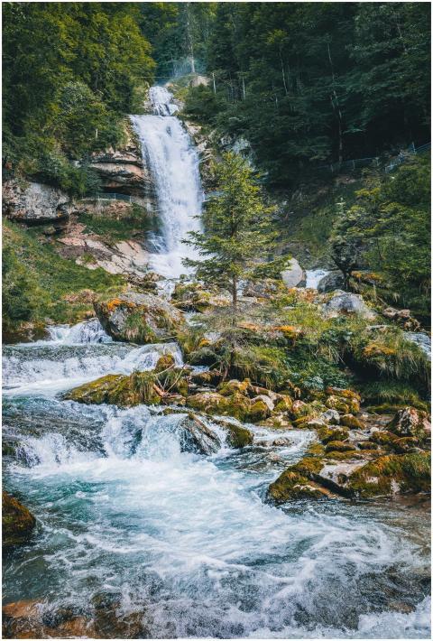 Majestic waterfall cascading through lush green fo