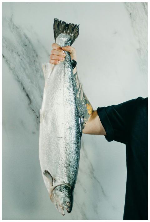 A tattooed hand holds a large raw salmon, perfect