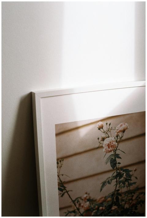 A minimalist framed floral print leaning against a