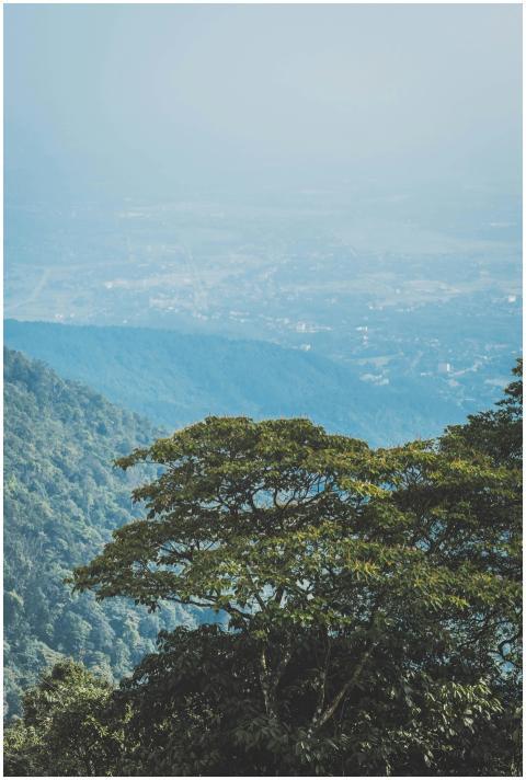 Breathtaking view of a lush green valley and mount