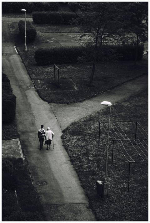 Monochrome aerial shot of two people strolling thr