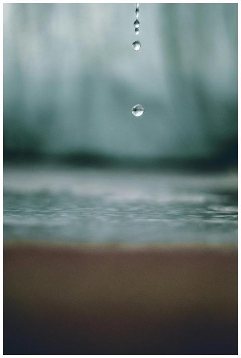 A serene and detailed capture of a water droplet s