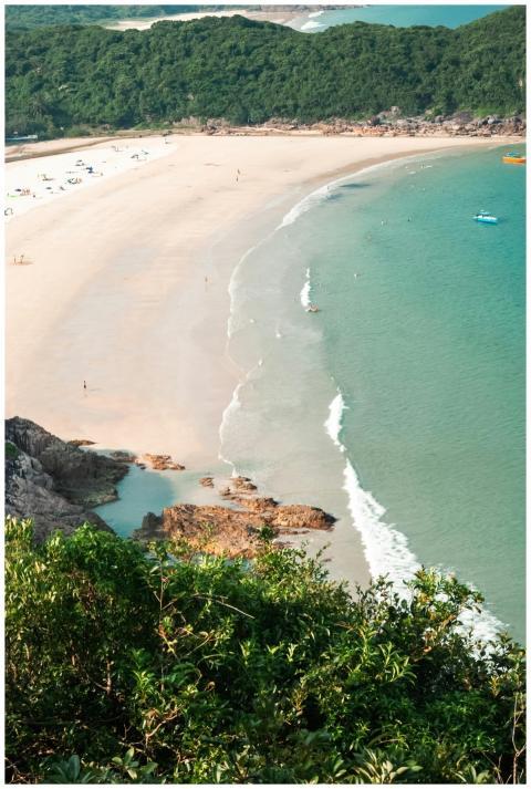 Peaceful aerial view of a secluded beach with lush