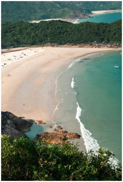 Aerial view of a beautiful tropical beach with lus