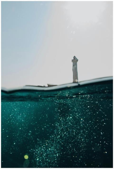 Artistic underwater photo capturing bubbles and di