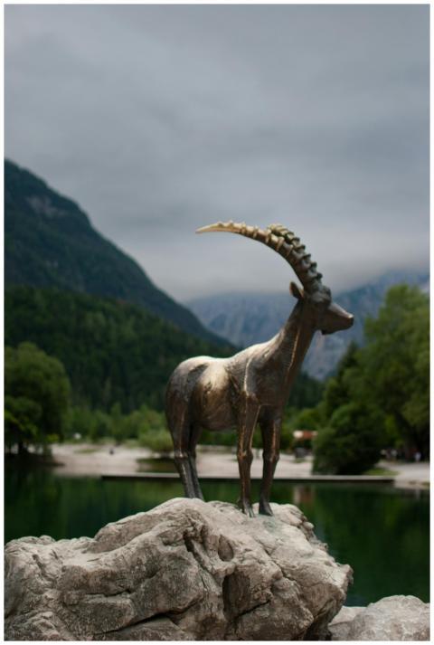 Free stock photo of slovenia