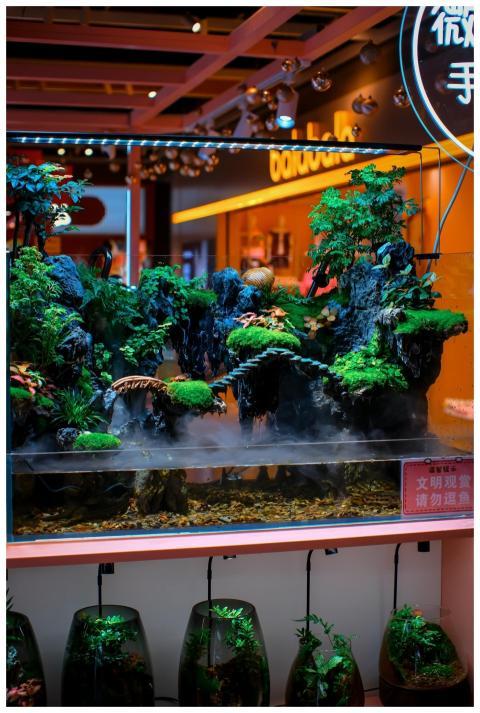 Bright and detailed indoor aquarium with vibrant p