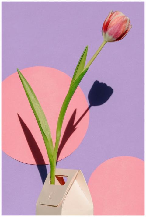 Artistic photo of a tulip in a modern paper vase a