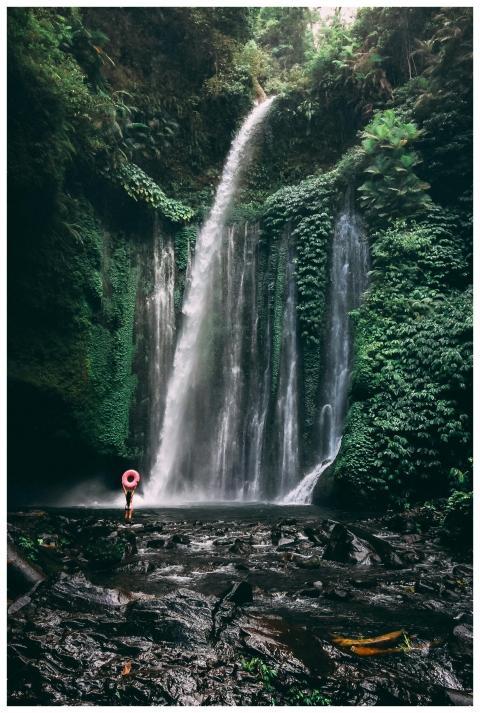 A stunning waterfall in a lush tropical rainforest