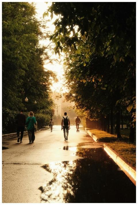 Serene Park Walk During