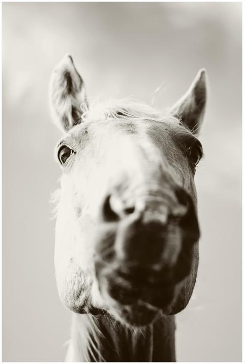 A striking monochrome portrait capturing the detai