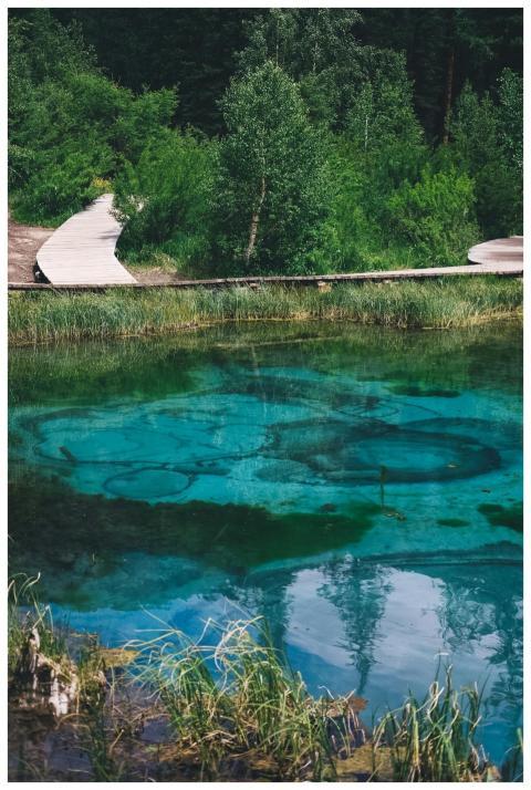 A beautiful scenic view of a boardwalk crossing cl