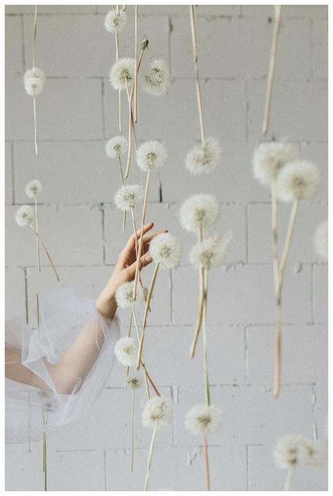 A graceful hand reaches through hanging dandelions