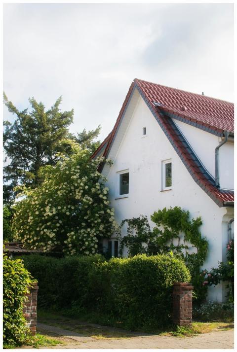 Beautiful white cottage with red roof surrounded b
