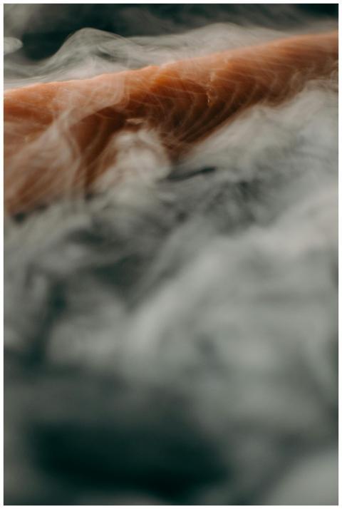 Artistic close-up of smoked salmon enveloped in de