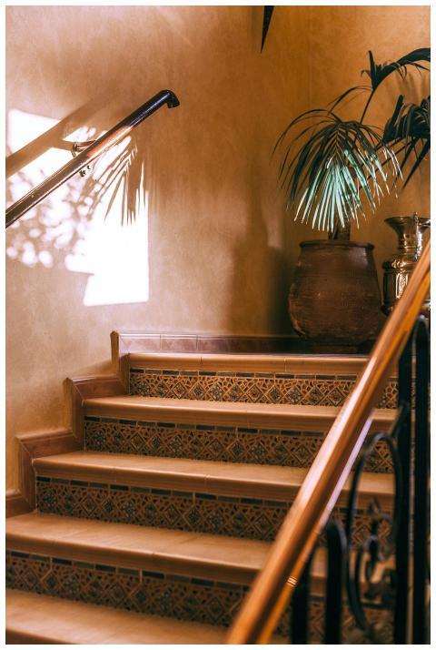 Cozy indoor staircase with tiled steps and potted