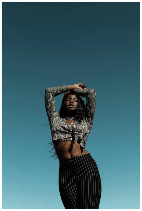 Elegant portrait of a fashionable black woman posi