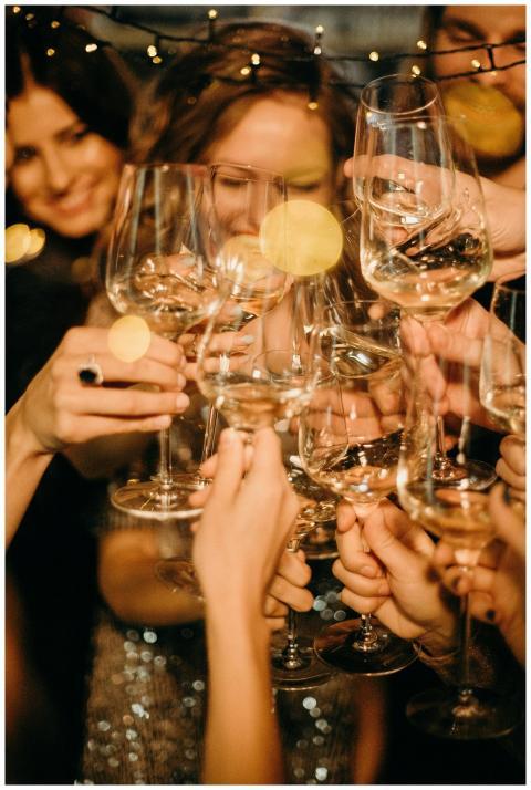 Group of people toasting with champagne glasses du
