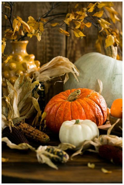 Warm and rustic still life of autumn harvest featu